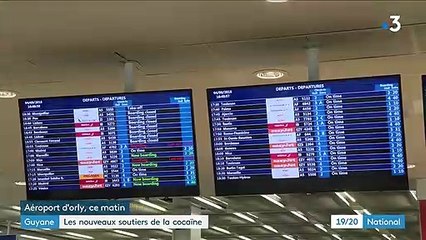 Guyane : les nouveaux sentiers de la cocaïne