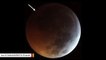 Cameras Catch Meteorite Crashing Into The Moon During ‘Super Blood Wolf Moon' Eclipse