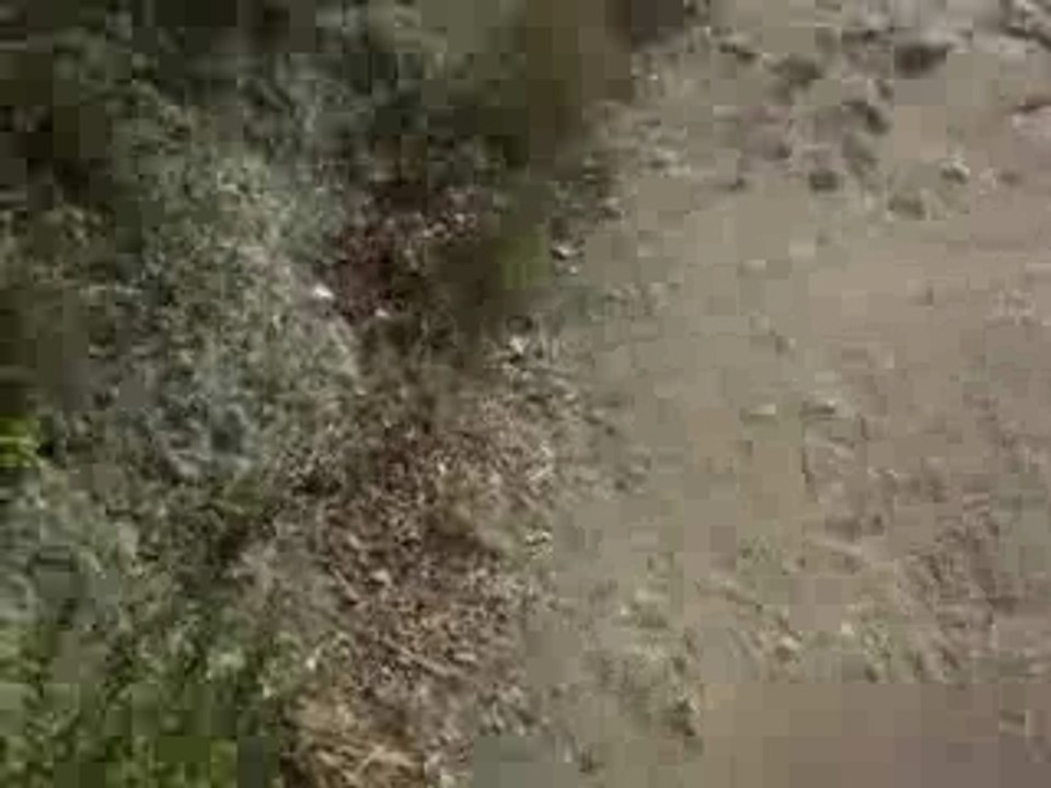 Soiree Plage 28 Aout 2007