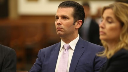 Donald Trump Jr.'s Trump Tower Meeting, Explained