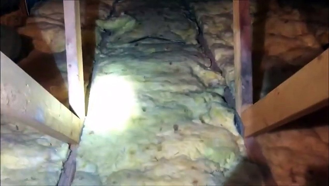 Home Inspector Explains Attic Condensation Causes