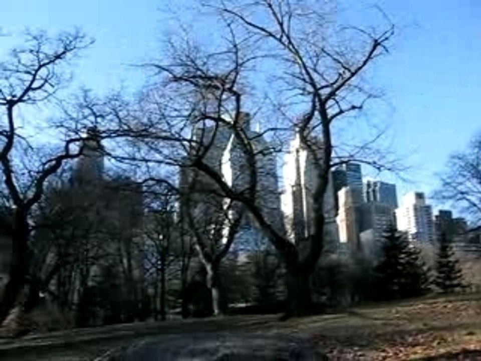 Central Park