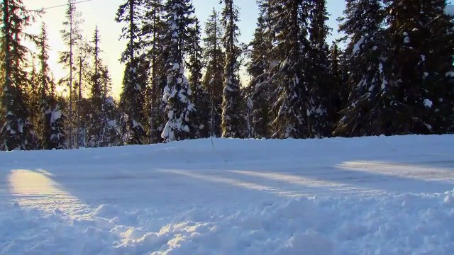 Mercedes Benz Vito 119 BlueTEC drive