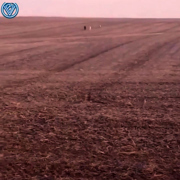 Друзей привел