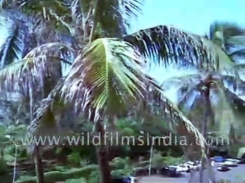 Interview with the veteran Indian filmmaker, Hrishikesh Mukherjee