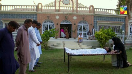 Bisaat e Dil Episode #26 HUM TV Drama 22 January 2019