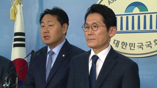 野 3당 100% 연동형 비례대표제...의원수 330명 / YTN