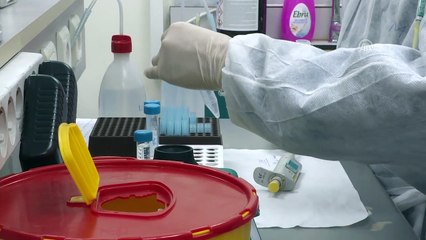 Güney Koreli öğrenciler İstanbul'da 'adli tıp' çalışması yaptı - İSTANBUL