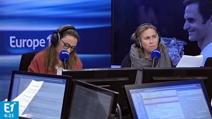 L’épidémie de peste porcine africaine aux portes de la France, les professionnels alertent sur un risque de "déstabilisation du monde rural"