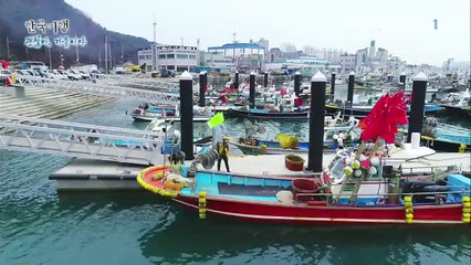 한국기행 - Korea travel_괜찮아, 겨울이야 3부 못생겨도 맛은 좋아_#001