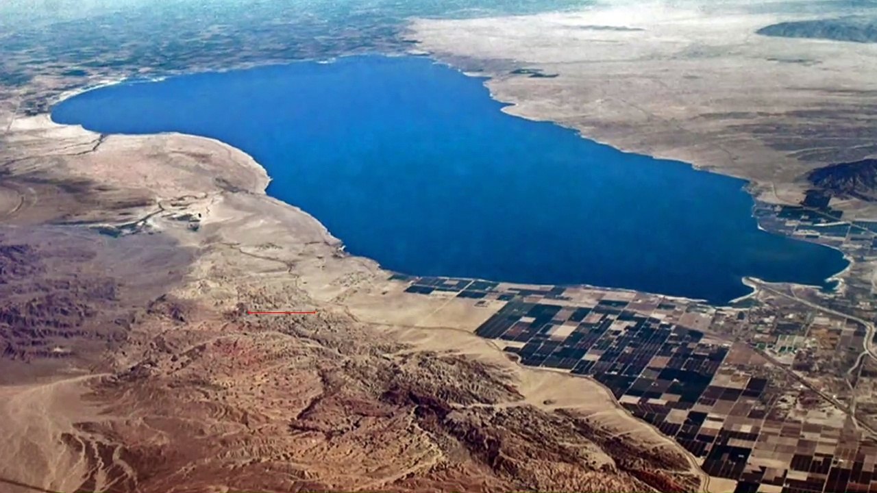 Thousands of birds die at Salton Sea