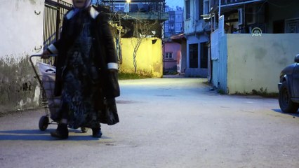 Sahipsiz hayvanları 30 yıldır besliyor - HATAY