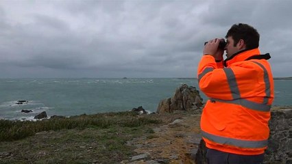 Se reanuda la búsqueda del futbolista argentino Emiliano Sala