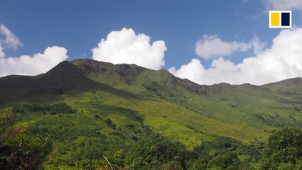 Nature thrives in abandoned Hong Kong village
