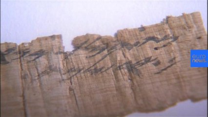 Archaeologists return to site of Dead Sea Scrolls discovery