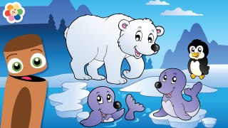 VENHA BRINCAR COM AS CORES E O URSO POLAR | BabyFirst TV Brasil