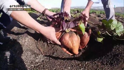 세계테마기행 - 신화의 땅 아틀라스 3부- 대서양에 핀 화산섬_#001