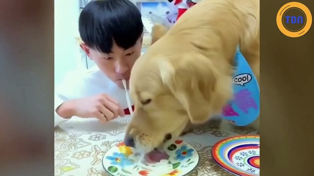 Cet homme et son chien nous font rire en mangeant des pâtes ! - Le Zap du TDN #172