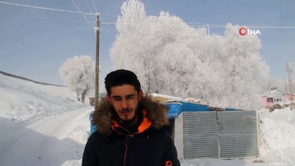 Çaldıran'da hayat dondu... Ağaçlar buzdan heykellere döndü