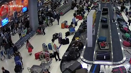 German thief, 39, caught stealing British woman's suitcase from airport baggage carousel