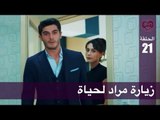 الحب لا يفهم الكلام – الحلقة 21 | زيارة مراد لحياة