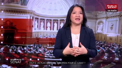 Faut-il un plan Marshall européen pour le climat ? - Les matins du Sénat (23/01/2019)