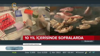 Türkiye ilk çalışmalara başladı