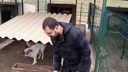 Barınaktaki hayvanlara elektrikli ısıtıcı - MARDİN