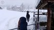 Лошади резвятся на снегу