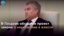 В Госдуме обсудили наказание за 