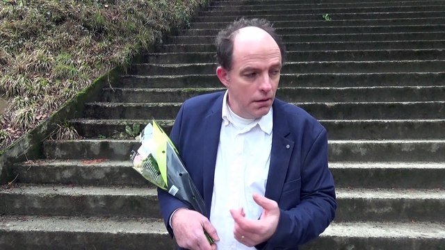 Remake Le Professionnel (Voix originales)