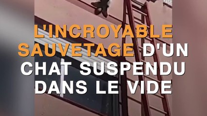 L'incroyable sauvetage d'un chat suspendu dans le vide !