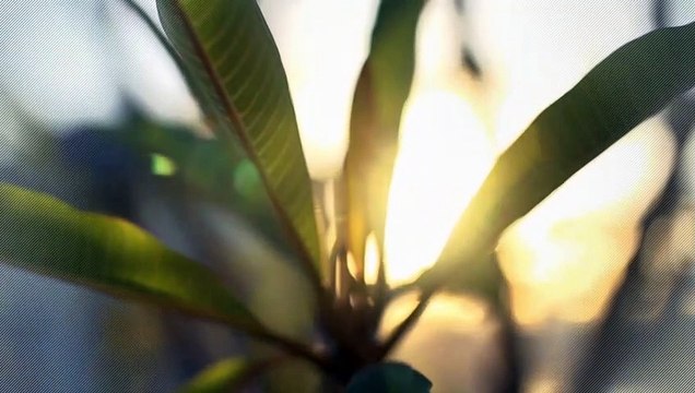 A vendre - Appartement - La Tour-de-Trême (1635) - 4.5 pièces - 115m²