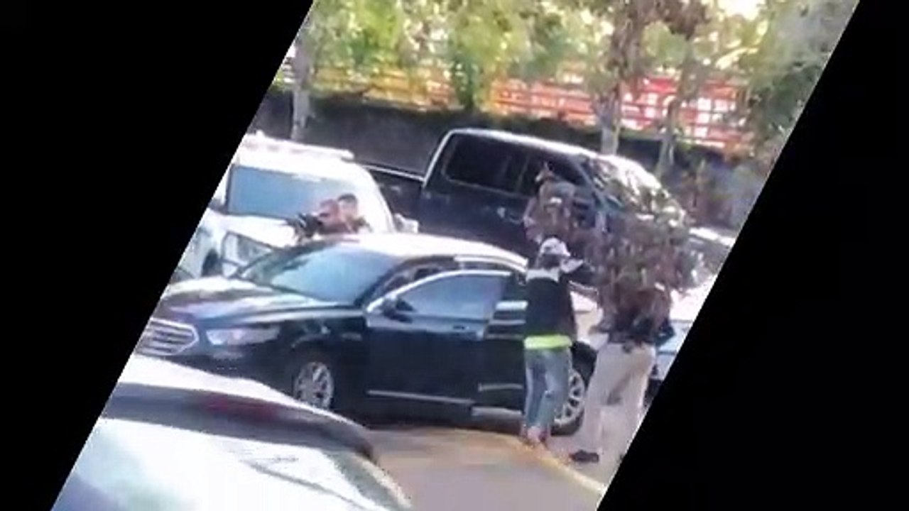 Une fillette de 2 ans les mains en l'air lors d'une arrestation (Floride)