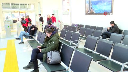 Feribot İskelesinde Yolcuları Sevimli Kedi Miço Karşılıyor