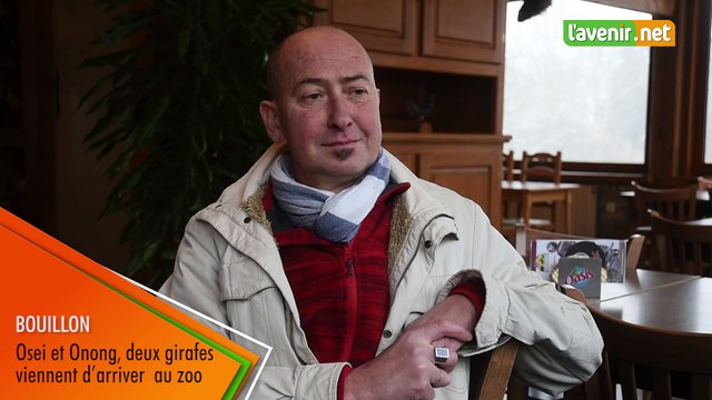 Bouillon: Osei et Onong, deux gira fes mâles, sont arrivés au zoo