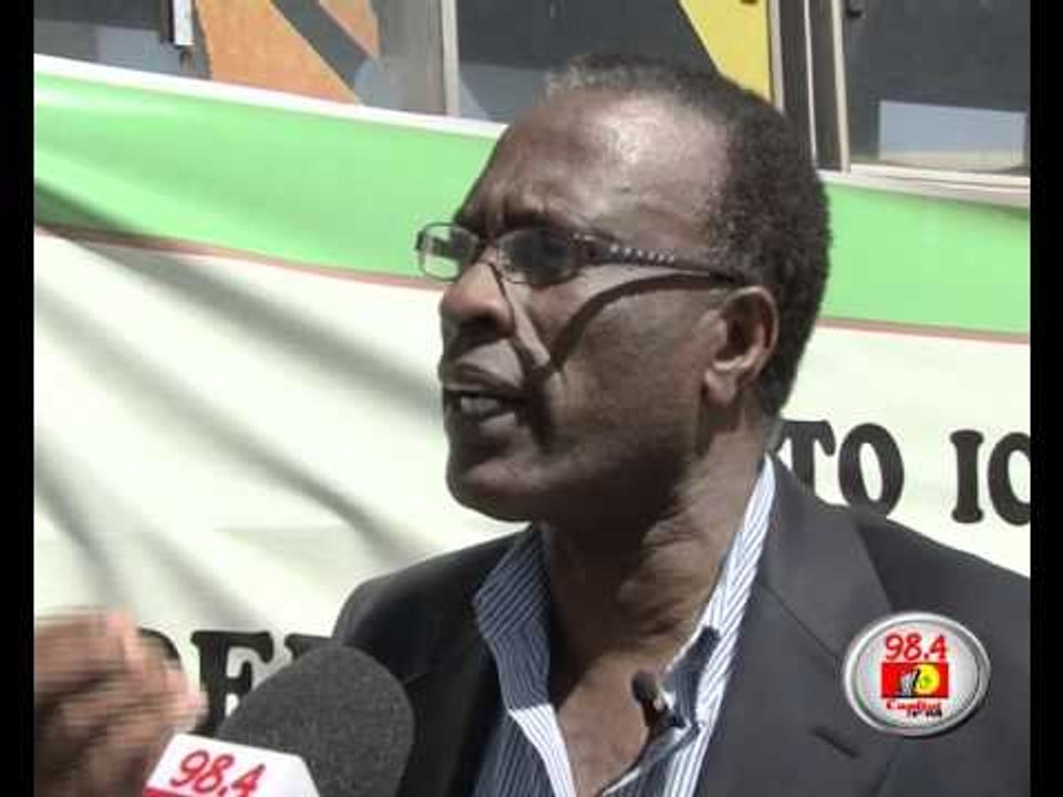 green belt movement