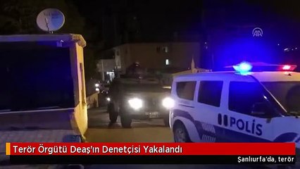 Terör Örgütü Deaş'ın Denetçisi Yakalandı