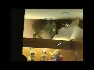 This little piggy goes shopping