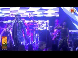 Nameless - Megarider LIVE at The Koroga Festival