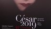 César 2019 : "Jusqu'à la garde" et "Le grand bain" mènent les nominations