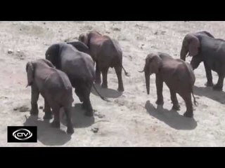 The intruders of Kajiado county