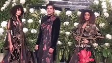 Cachorro abandonado invade desfile de moda
