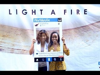 Our2Cents Ep. 78: Ivory is worthless unless it's on a living elephant