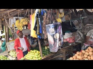 Eco friendly bags come with extra cost after plastics ban
