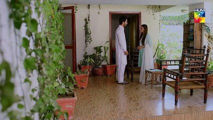 Tu Ishq Hai  epi 17 HUM TV Drama 23 January 2019