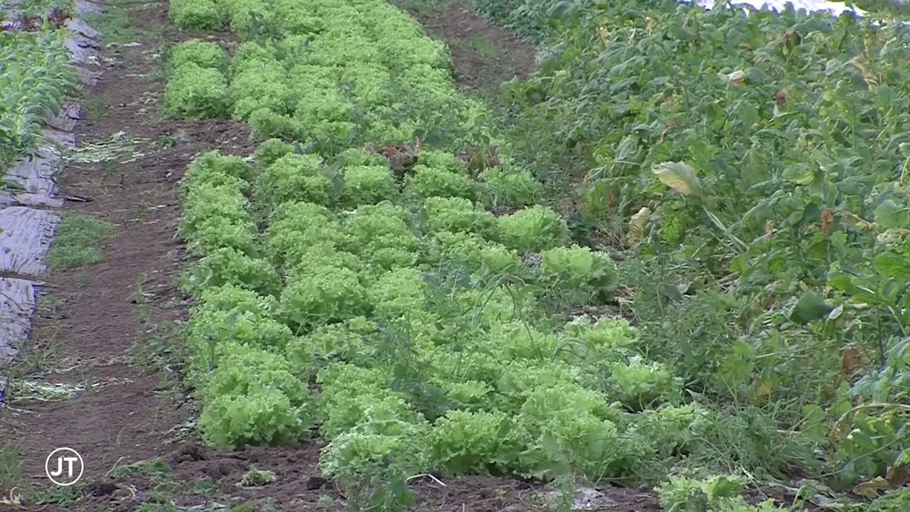 Tours-agglo: 650 hectares constructibles redeviennent terres agricoles - 23/01/2019