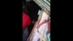 Bombeiros resgatam filhote que caiu em buraco em Curitiba