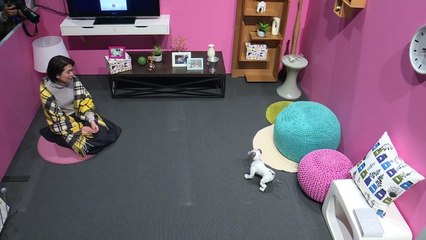 Nuevas prestaciones para el perro robot de Sony