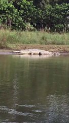Chitwan Canoe Ride in Nepal